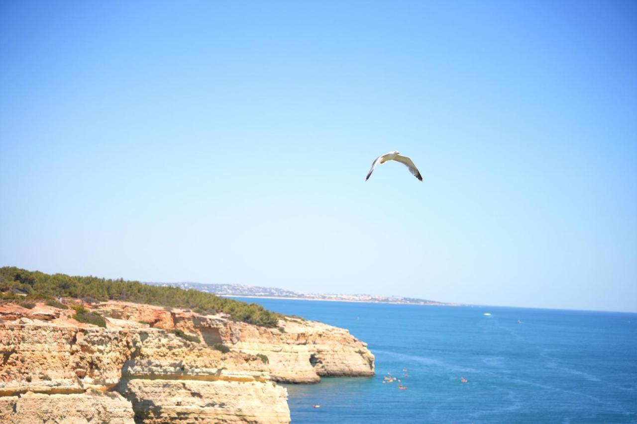 Casa Benagil Mar Βίλα Lagoa  Εξωτερικό φωτογραφία